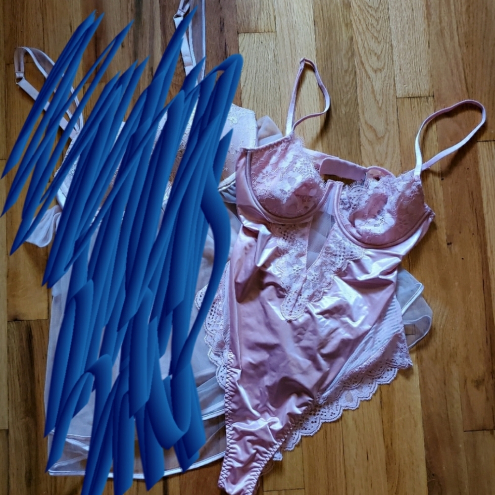 Victoria's Secret Pink Teddy